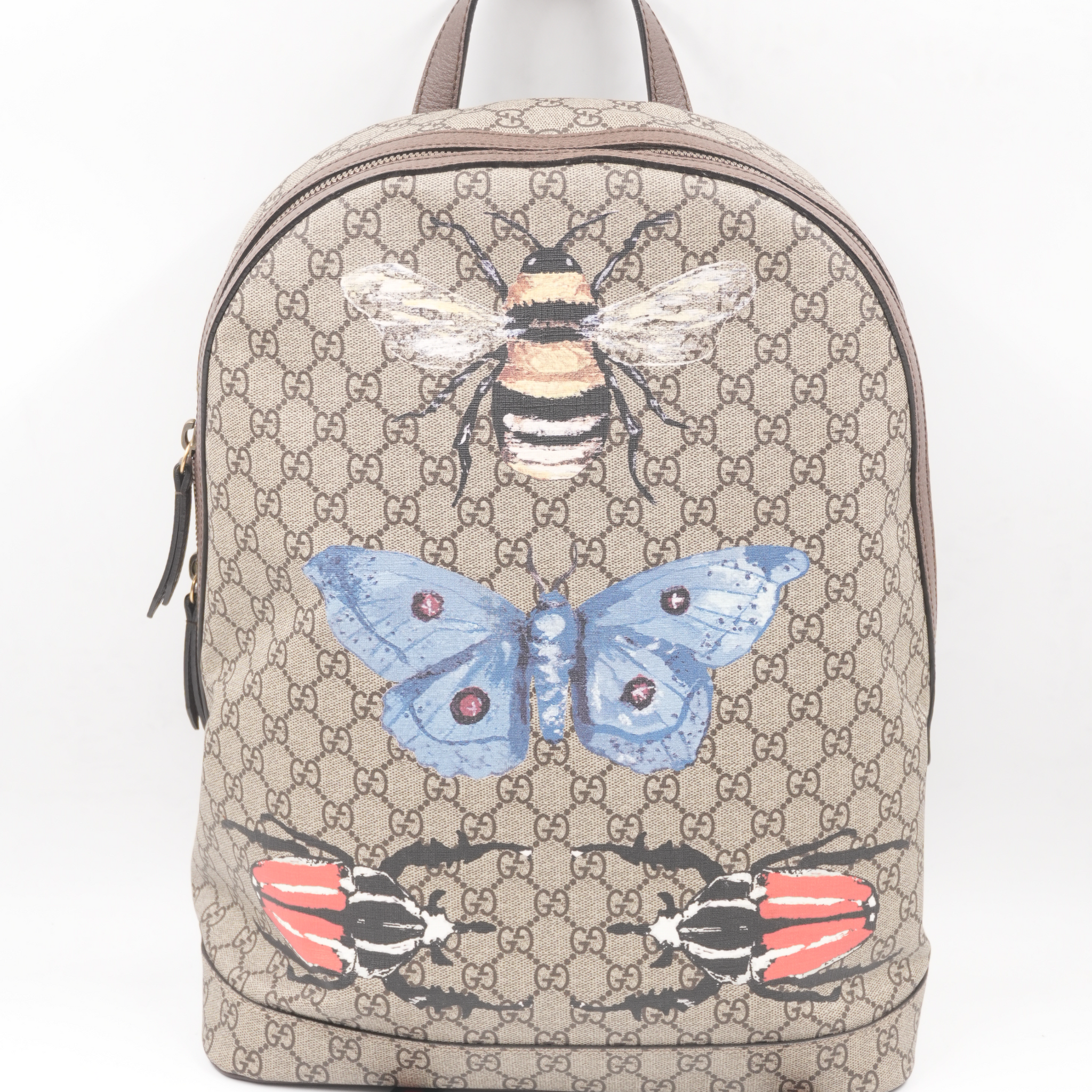GG Supreme Web Insect Dome Backpack