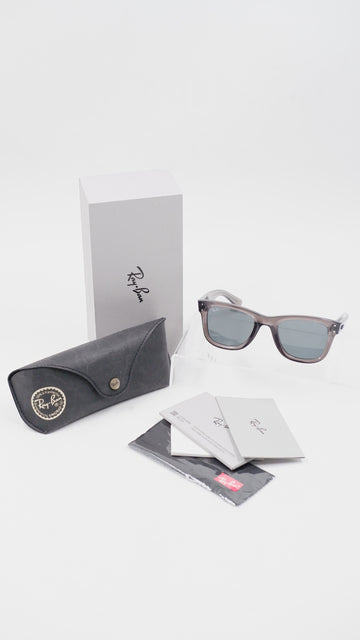 Wayfarer Reverse RB R0502S
