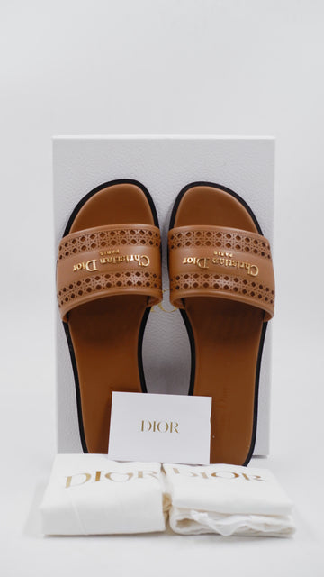 D-Lane Slides