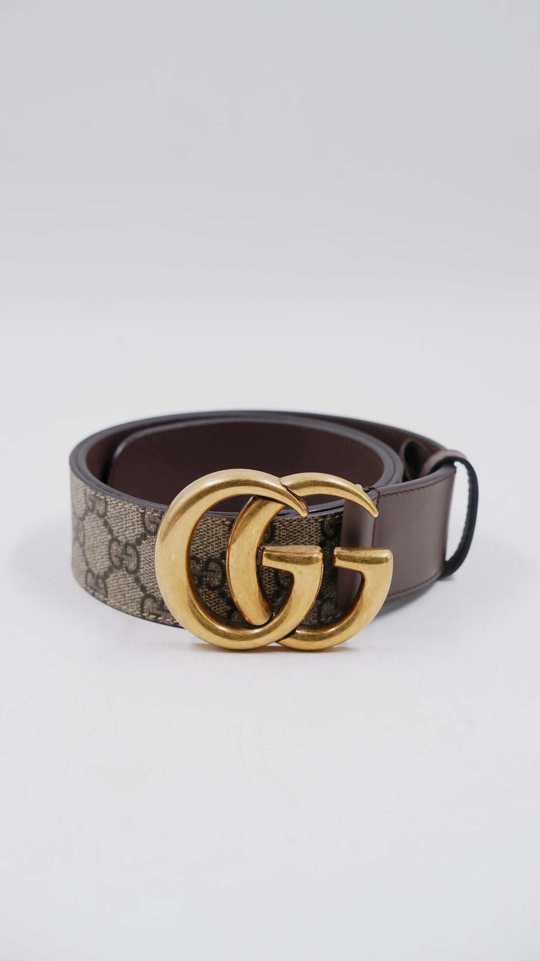 Marmont Belt Supreme Canvas