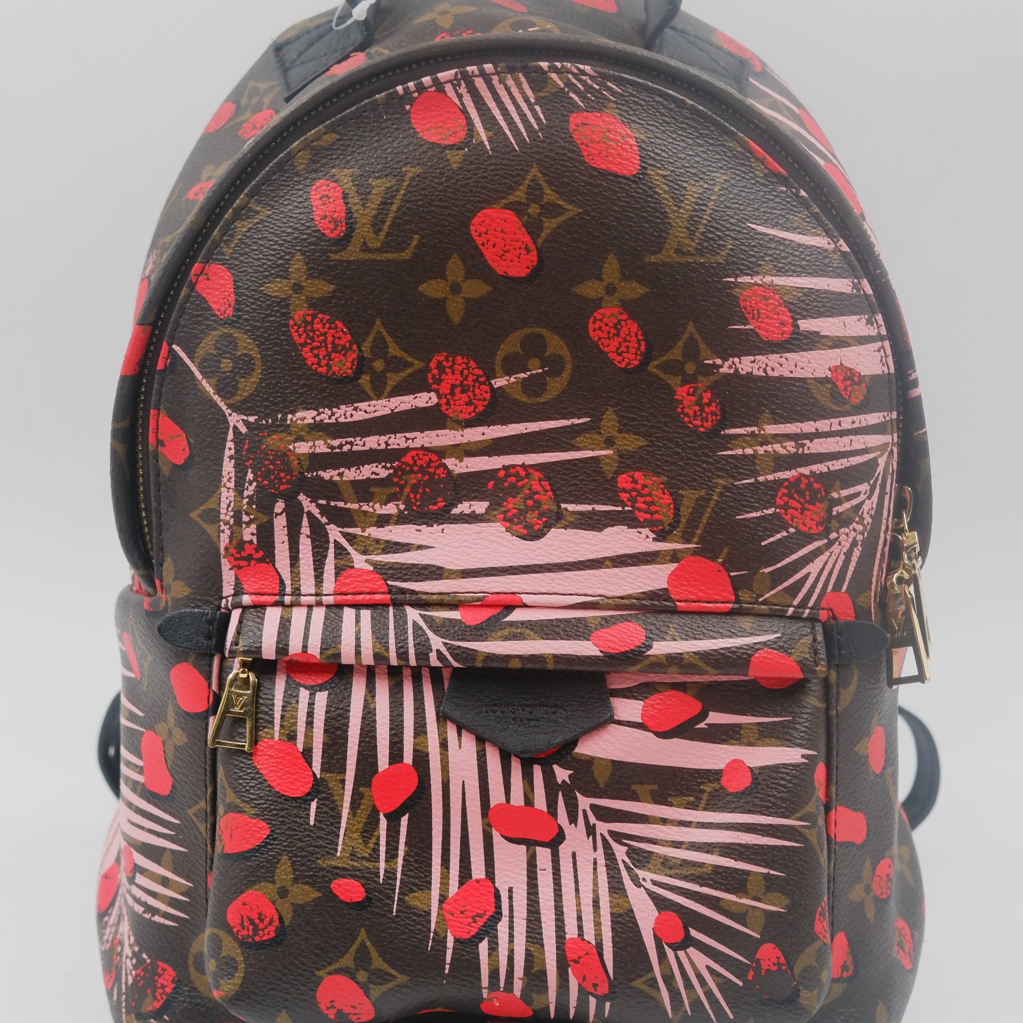 Palm Springs Backpack