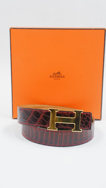 Crocodile Belt