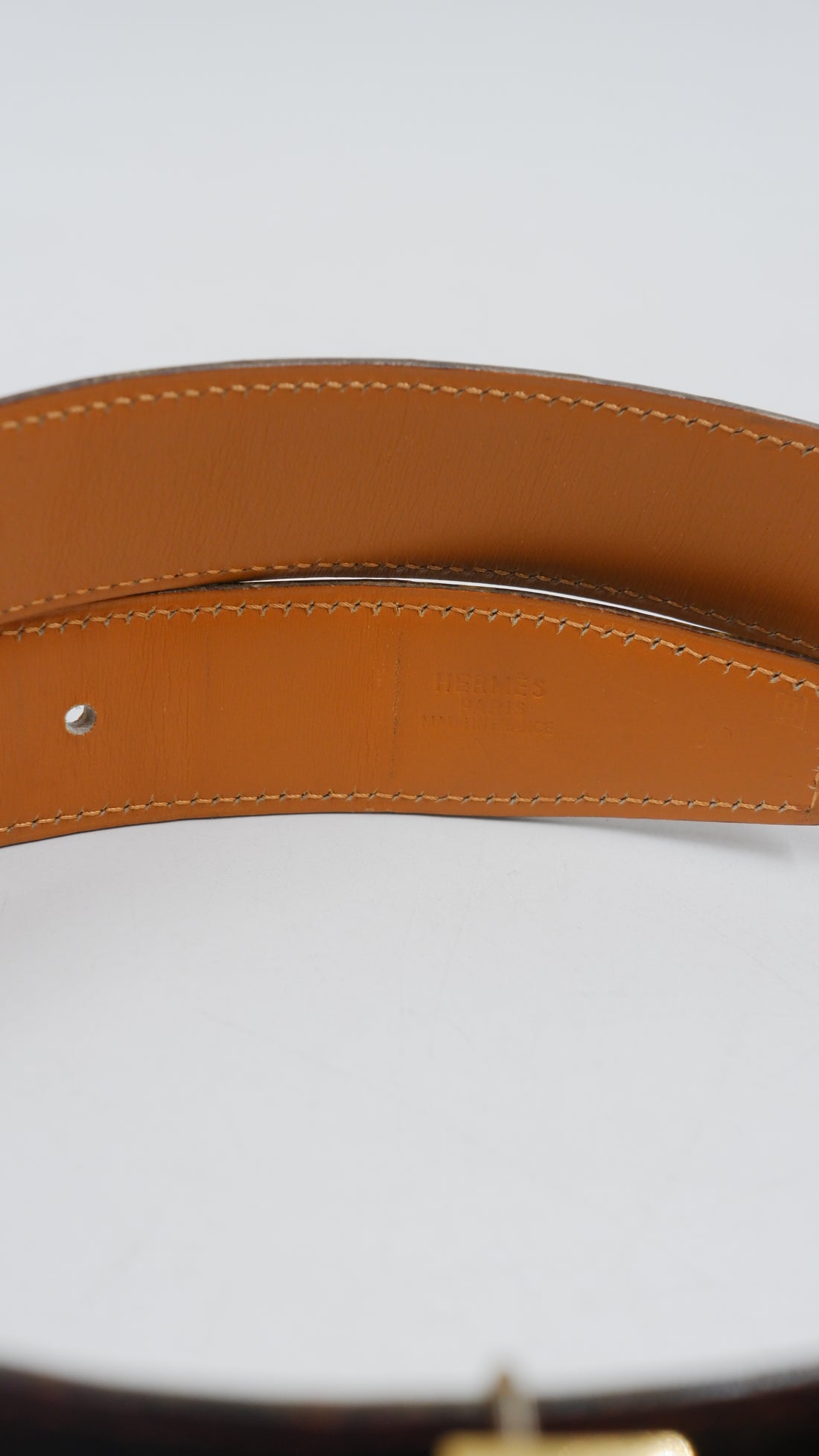 Crocodile Belt