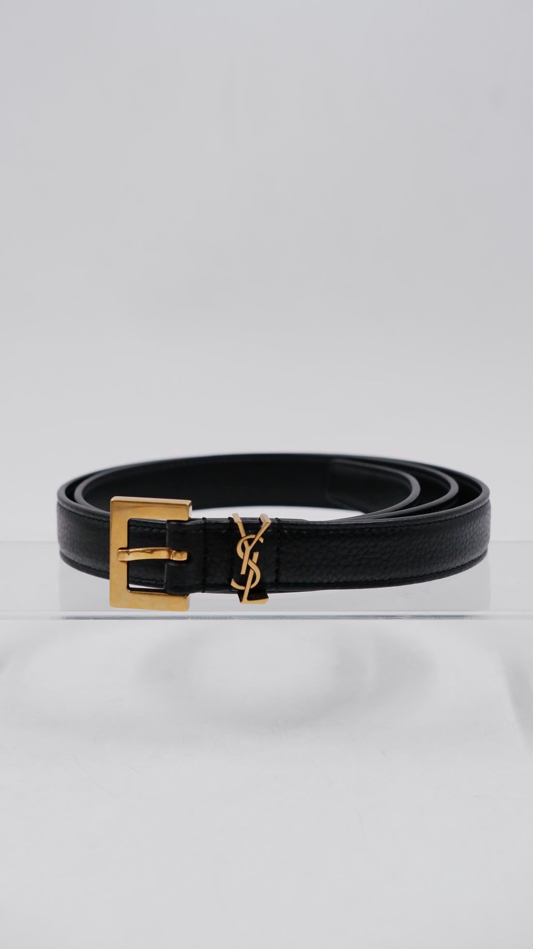 Cintura Sintra Belt (Brand New)