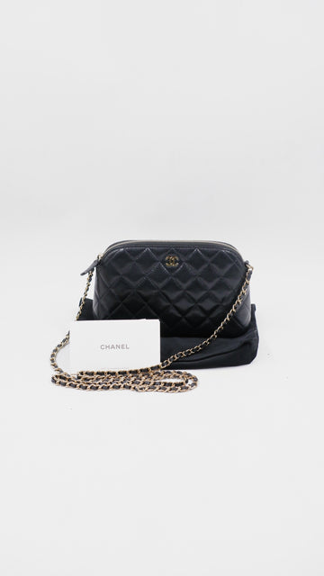 CC Dome Zip Clutch (Microchip)