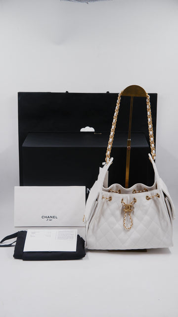C25 Hobo Bag (Microchip)