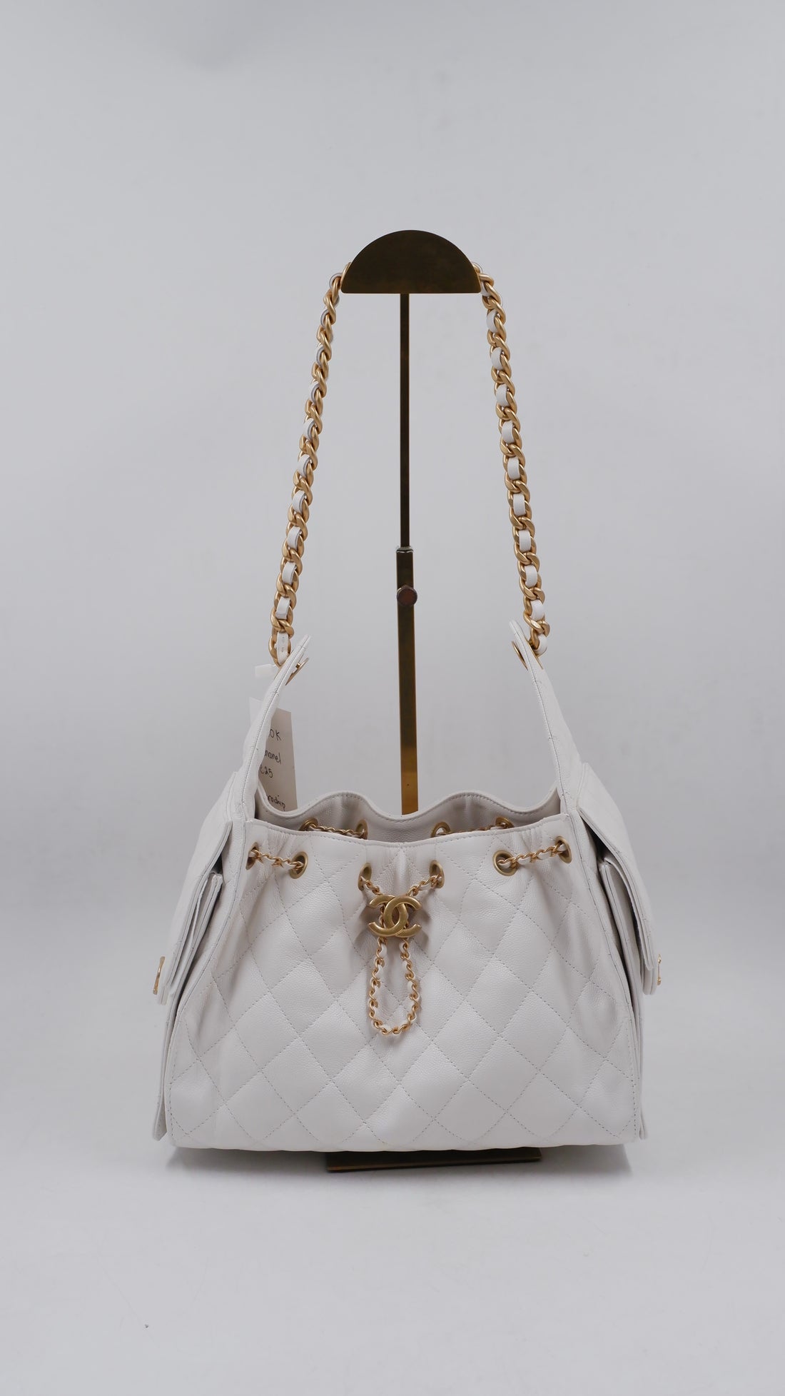 C25 Hobo Bag (Microchip)