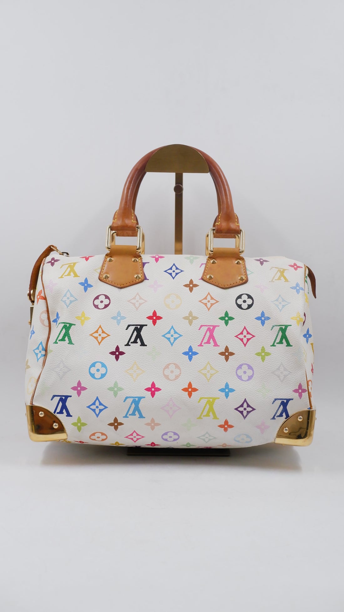 Monogram Multicolor Speedy 30
