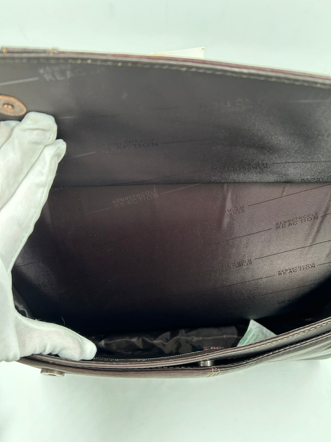 REACTION BRIEF CASE